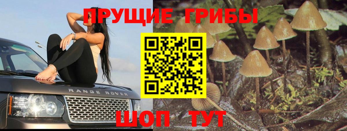 Северск  Галлюциногенные грибы мицелий  Псилоцибиновые грибы Cubensis  Вход с VPN 